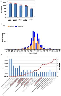 TMT-Based Plasma Proteomics Reveals Dyslipidemia Among Lowlanders During Prolonged Stay at High Altitudes